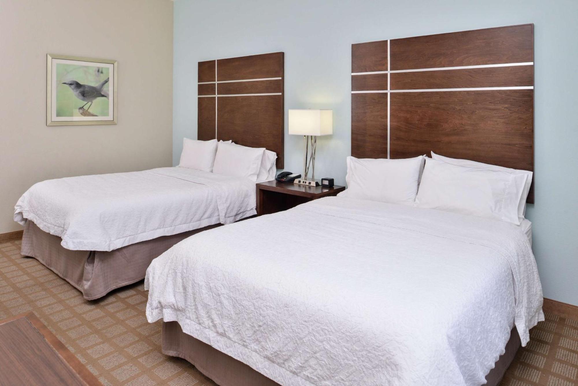 Hampton Inn And Suites Hutto Buitenkant foto